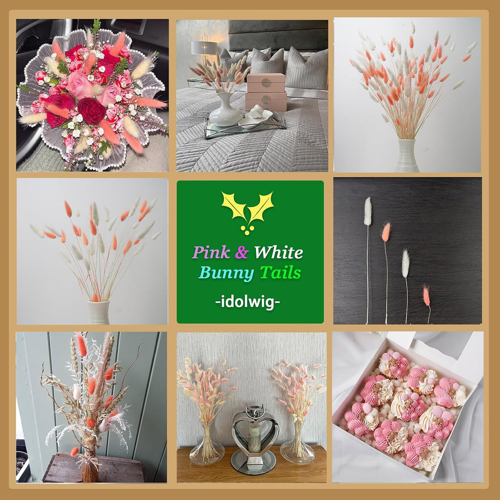 100 Pcs White and Pink Bunny Tails Dried Flowers