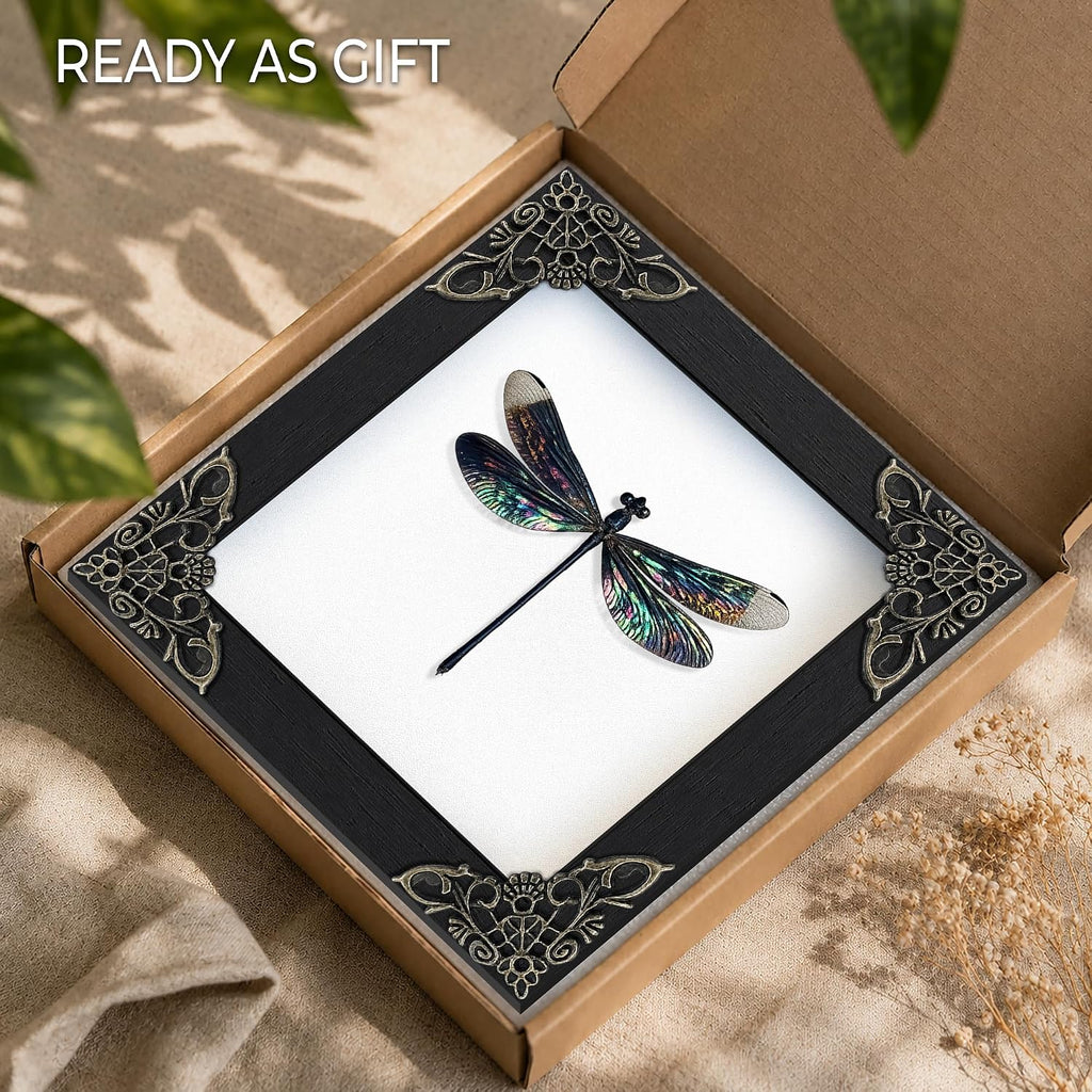 Real Dragonfly 4.7" Framed Insect Specimen Taxidermy Gothic Gift K12-85-TR