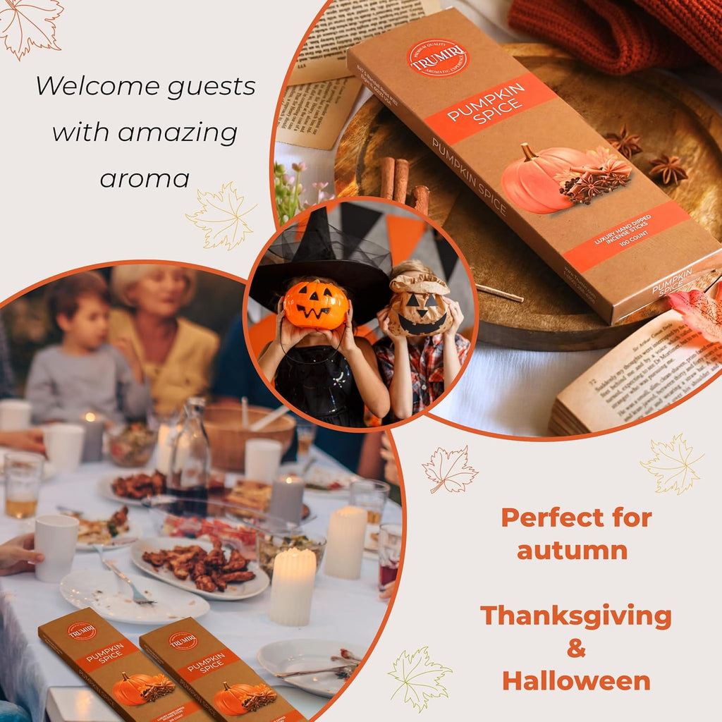 Pumpkin Spice Incense Sticks - Pack of 100 Inscents-Sticks - Inciensos Aromaticos Made with Natural Spices - Scented Insence Non Toxic Insense Incents