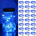 ZGWJ 24 Pack Fairy Lights Battery Operated, 7ft 20 Mini LED Fairy String Lights Silver Wire 3 Modes for DIY, Parties, Wedding, Bedroom, Halloween Christmas Decoration Blue
