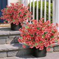 2Set Artificial Eucalyptus Flower Topiary Tree for Front Porch(Red)