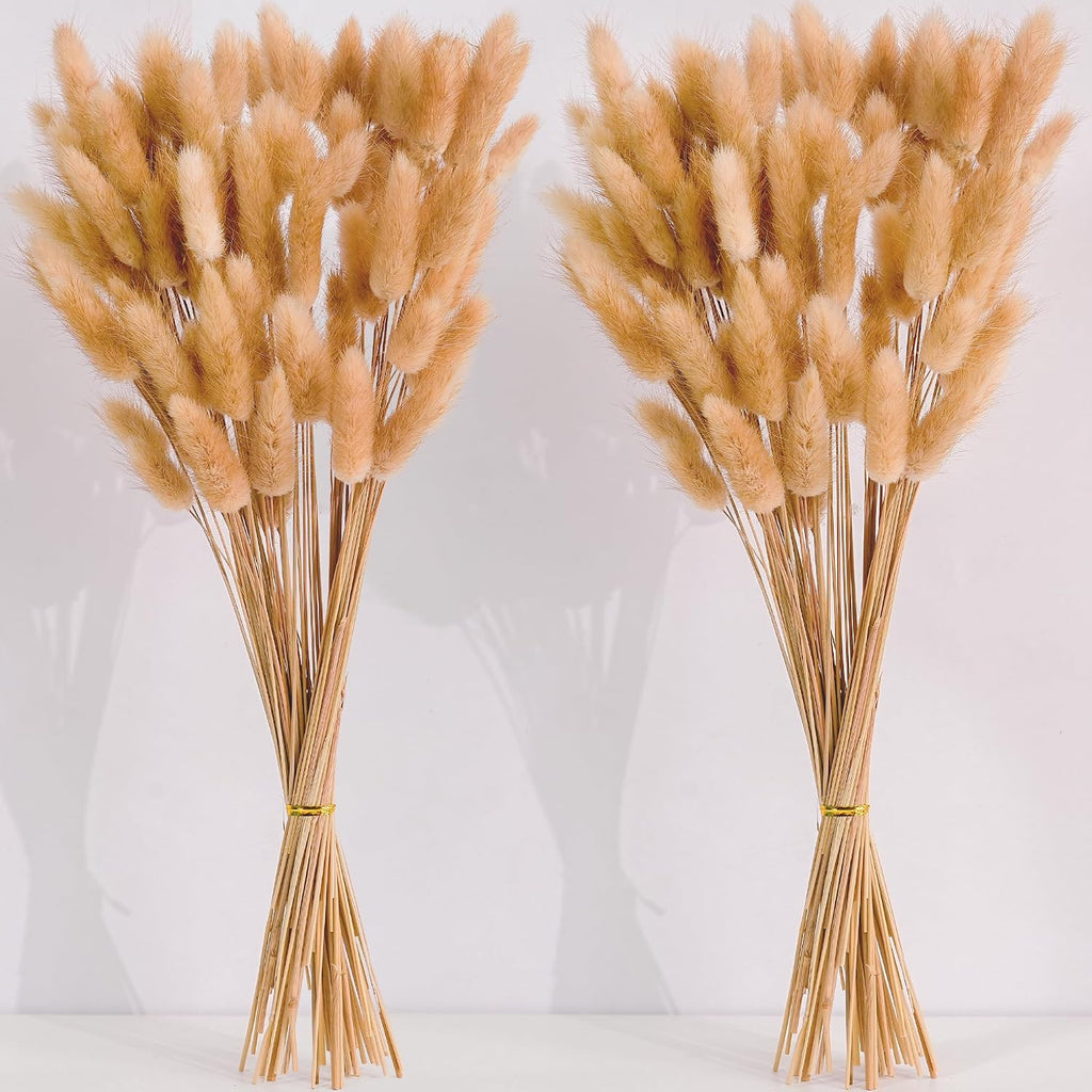 120 PCS Nature Dried Pampas Grass Decor, 17-inch Pompas Floral, Dry Flowers for Decoration, Pampas Grass in Bulk Tall, Nature Bunny Tails Dried Flowers for Boho Wedding Decor
