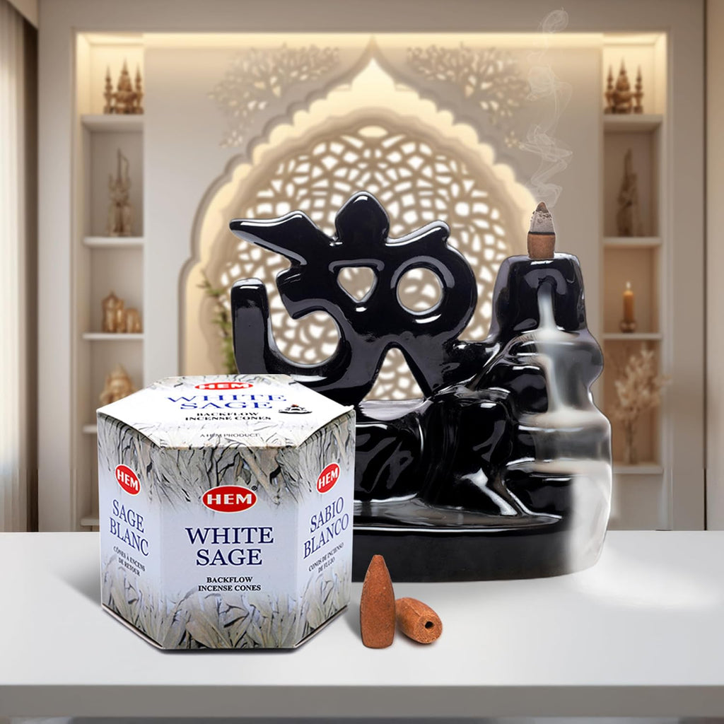 HEM White Sage Backflow Incense Cones – Pack of 40 Brown Cones | Long-Lasting Natural Aroma for Positivity, Cleansing & Meditation | Wood Powder Aromatherapy for Stress Relief & Air Purification