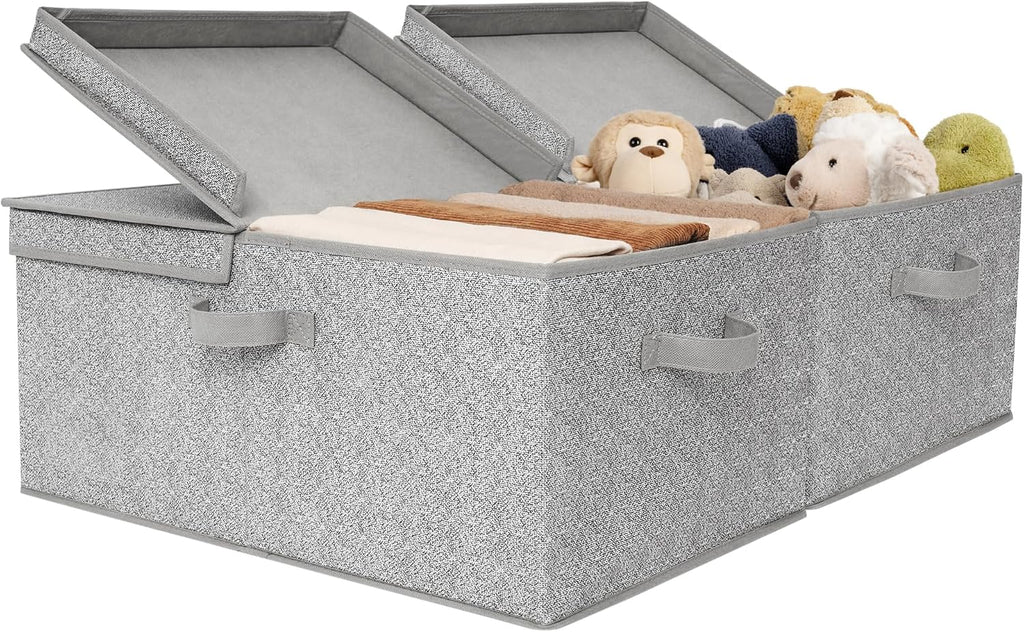 GRANNY SAYS Extra Large Storage Bins with Lids, Closet Bins, Ash Gray