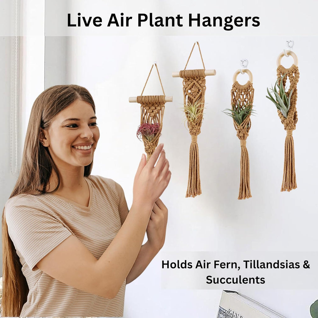 4 Pack Air Plant Holder, Air Plant Wall Hanger, Wall Plant Holder