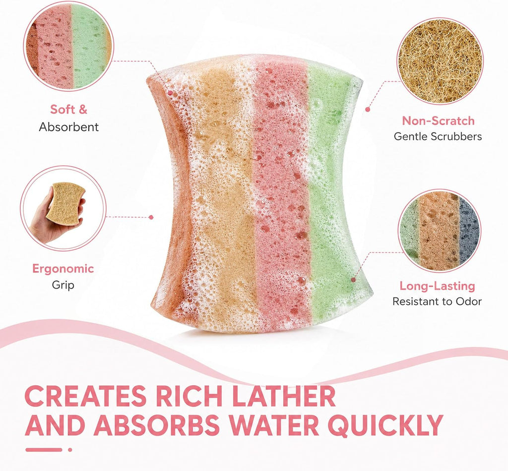 Color Kitchen Sponges Heavy Duty Kitchen Cleaning Scrubbing 10 Pack