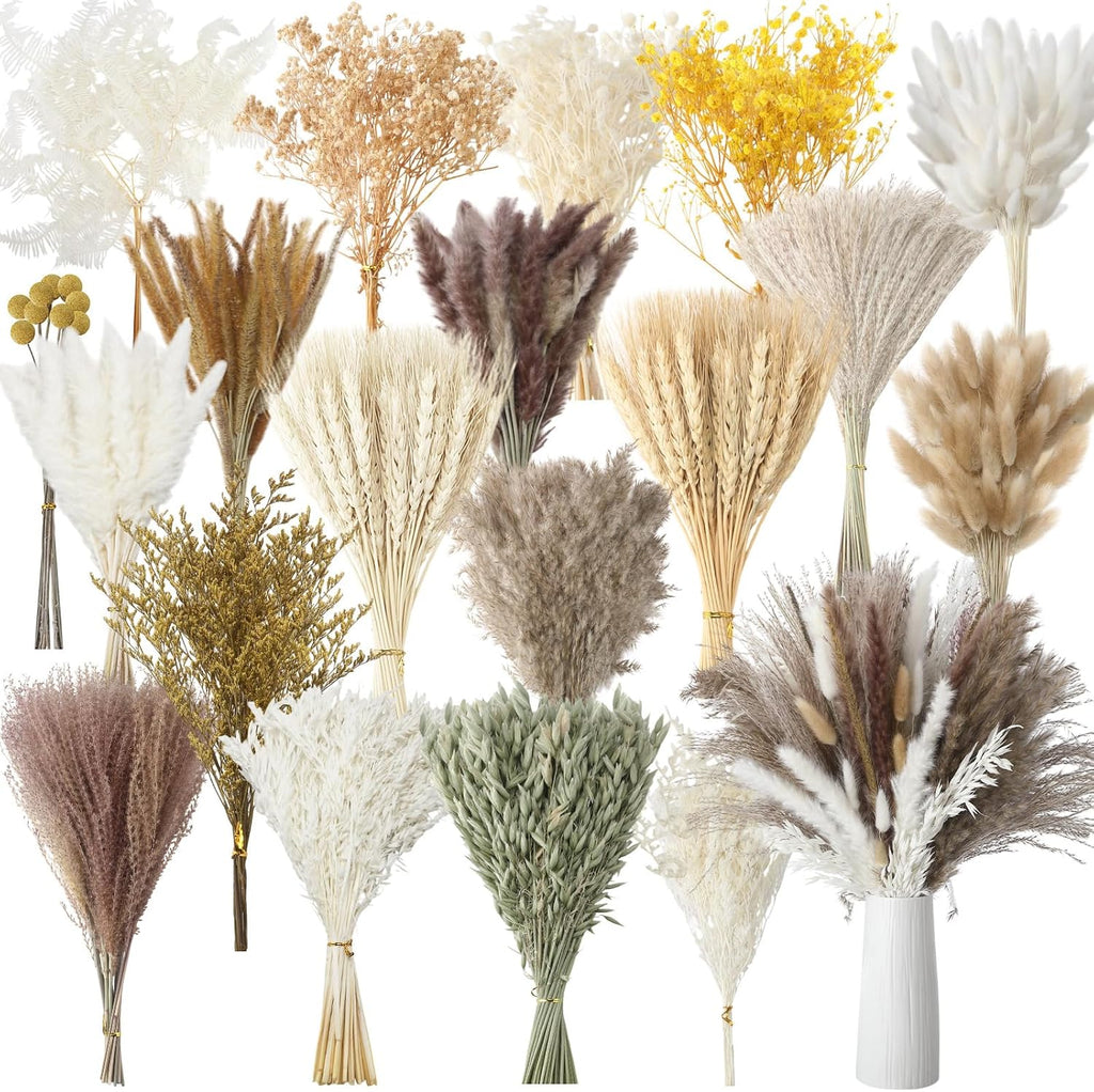 Nuanchu 703 Pcs Dried Pampas Grass Flowers, Bunny Tails, Retro Style