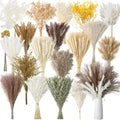 Nuanchu 703 Pcs Dried Pampas Grass Flowers, Bunny Tails, Retro Style