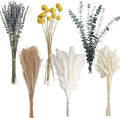 Dried Pampas Grass Bouquet – Boho Pampas Grass Decor for Home, Vase Fillers & Wedding — Natural Dried Flowers, Tall Pampas Grass for Floor Vase, Coastal, Scandinavian & Boho Room Decor (No Vase)
