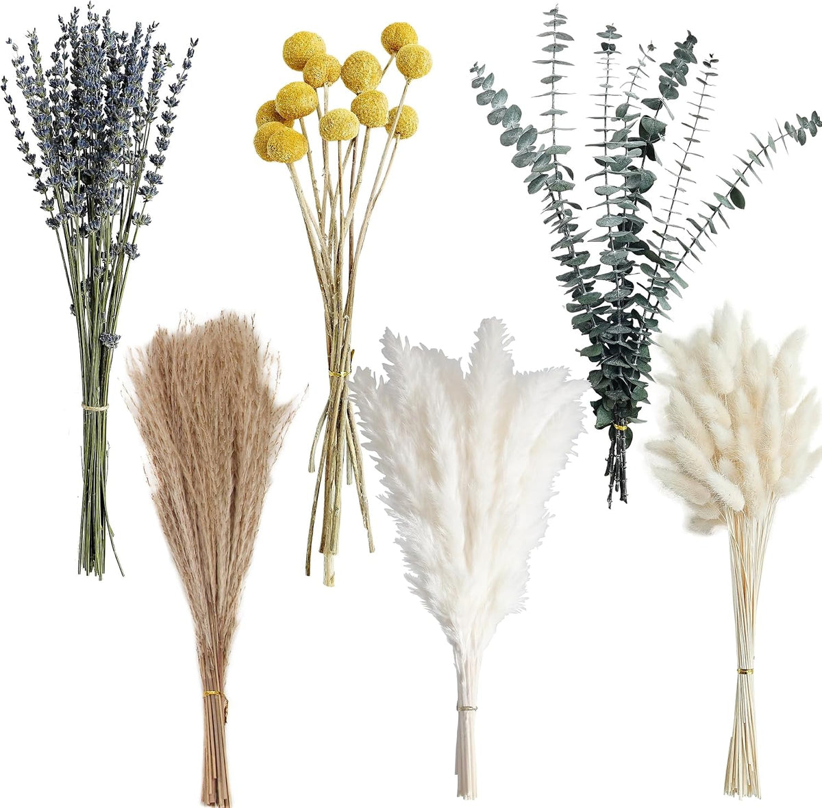 Dried Pampas Grass Bouquet – Boho Pampas Grass Decor for Home, Vase Fillers & Wedding — Natural Dried Flowers, Tall Pampas Grass for Floor Vase, Coastal, Scandinavian & Boho Room Decor (No Vase)
