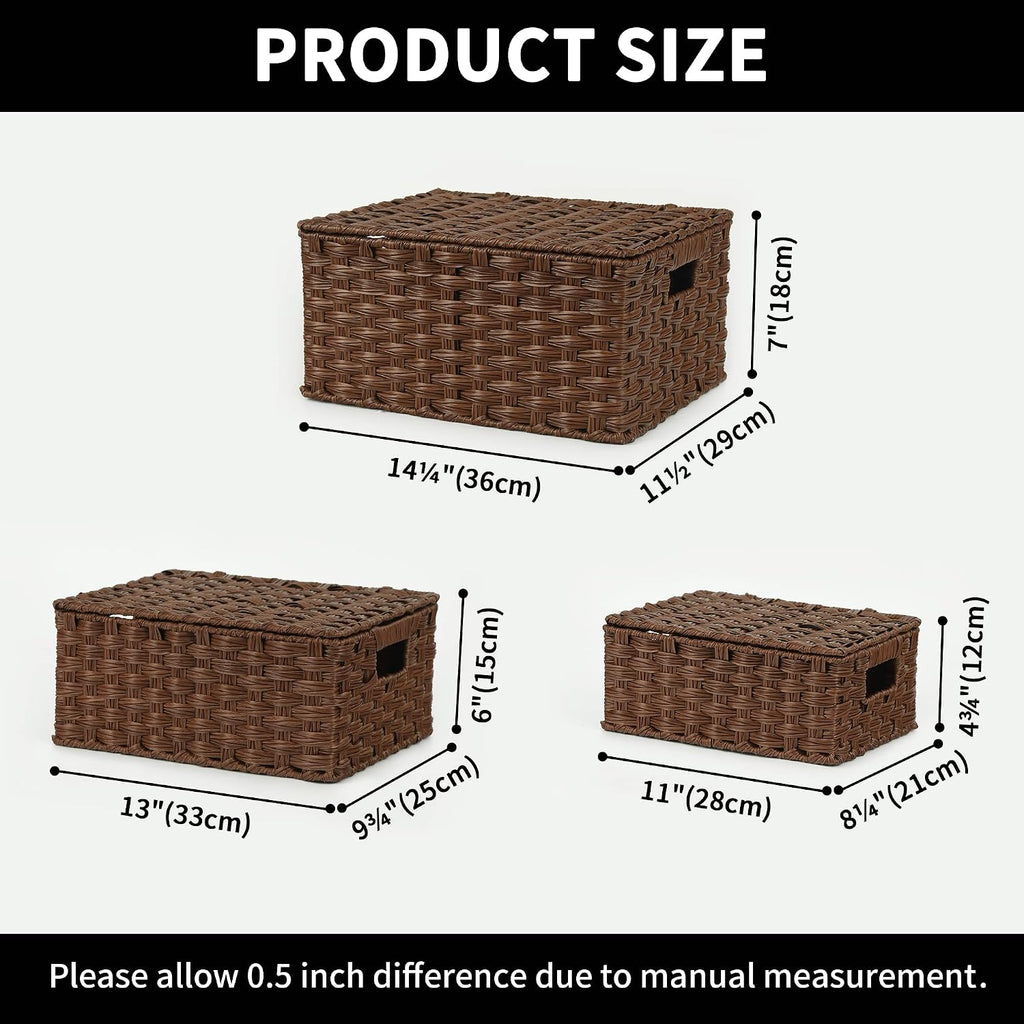 GRANNY SAYS Wicker Baskets with Lids, Decorative Storage Boxes with Lids