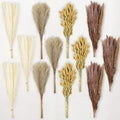 Le courant 17" 300Pcs Dried Pampas Grass Decor, Naturally Small Boho Pampas Grass with Bunny Tails & Reed Grass for Home Table Decor, Wedding, Rustic Farmhouse Party Decorations, White and Brown