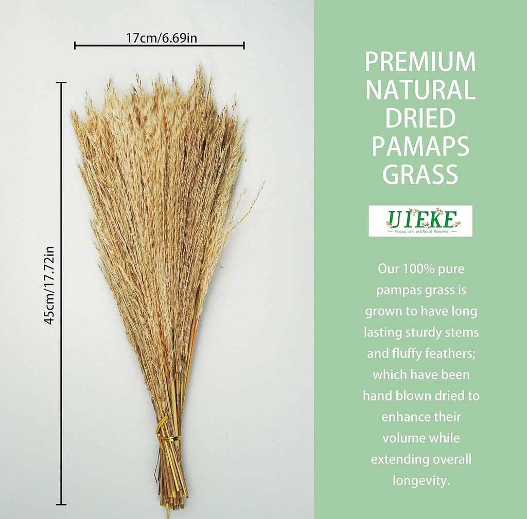 Uieke 100Pcs Natural Dried Pampas Grass Plume 17inch Tall Dried Flowers Large Faux Reed Artificial Plants for Wedding Flower Arrangements Farmhouse Wreath Door Centerpiece Home Décor Brown
