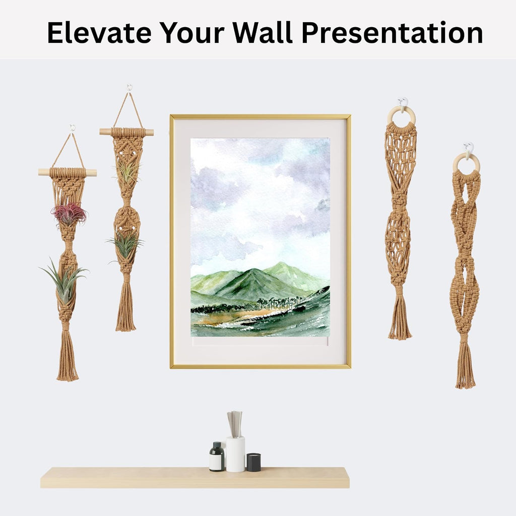 2 Tier 4 Pack Air Plant Holder, Air Plant Wall Hanger