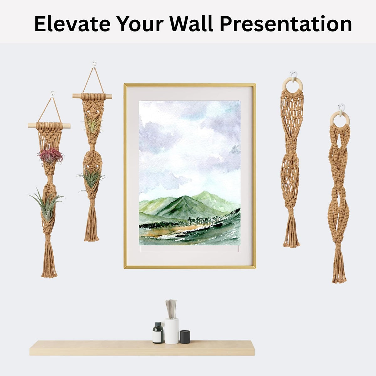 2 Tier 4 Pack Air Plant Holder, Air Plant Wall Hanger