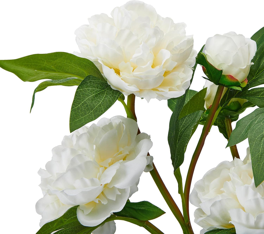 Elements Artificial White Peony Arrangement in Glass Vase - 21 Inch