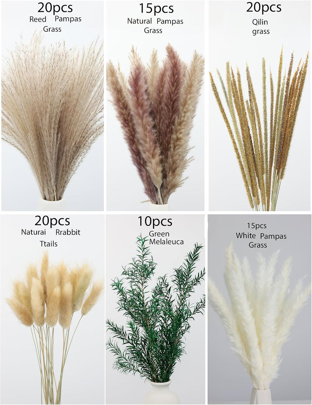 xin's convey 100 PCS Pampas Grass (Vase Not Included), Dried Flowers Bouquets, Wedding Table Decor, Bedroom, Rustic Farm Decor.(Green)