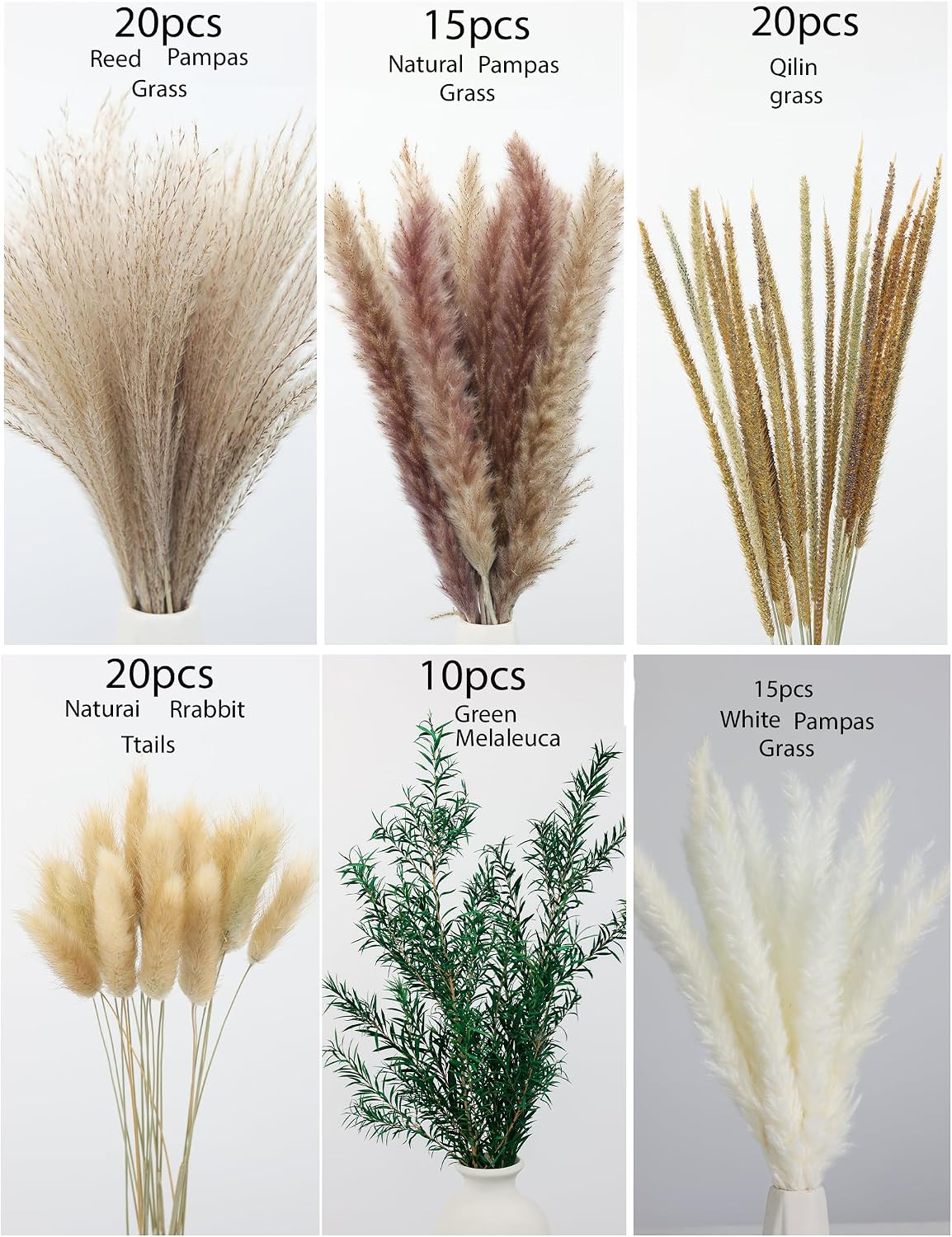 xin's convey 100 PCS Pampas Grass (Vase Not Included), Dried Flowers Bouquets, Wedding Table Decor, Bedroom, Rustic Farm Decor.(Green)