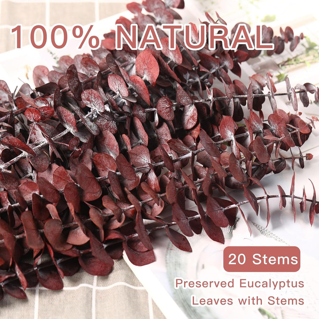 20 Pcs Dried Eucalyptus Stems, 17'' Real Red Leaves for Fall Decoration