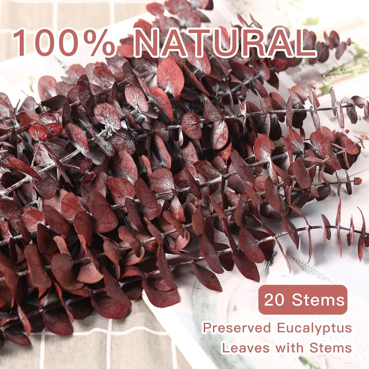 20 Pcs Dried Eucalyptus Stems, 17'' Real Red Leaves for Fall Decoration