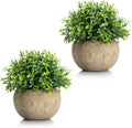 Velener 2Pcs Mini Artificial Boxwood Topiary Faux Plants Indoor- Small Fake Plants Decor Magnolia Home Office Desk Cubicle Farmhouse Kitchen Bookshelf Bedroom Bathroom Decor, Aloe Vera Zen Garden