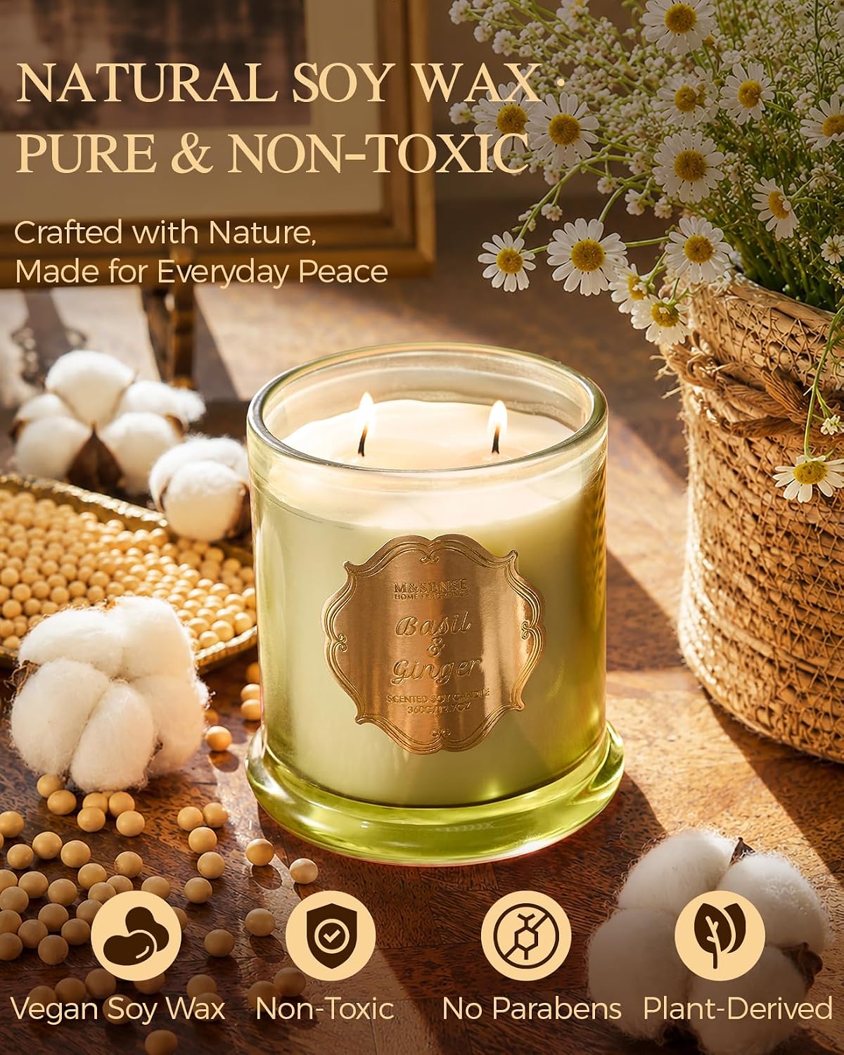 M&SENSE Basil Ginger Non Toxic Large Soy Candle, 12.7oz Home Scent