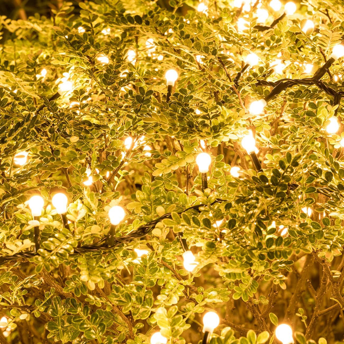 AWQ 500LED 49ft Christmas Cluster Lights Fairy String Light Xmas Tree Decor