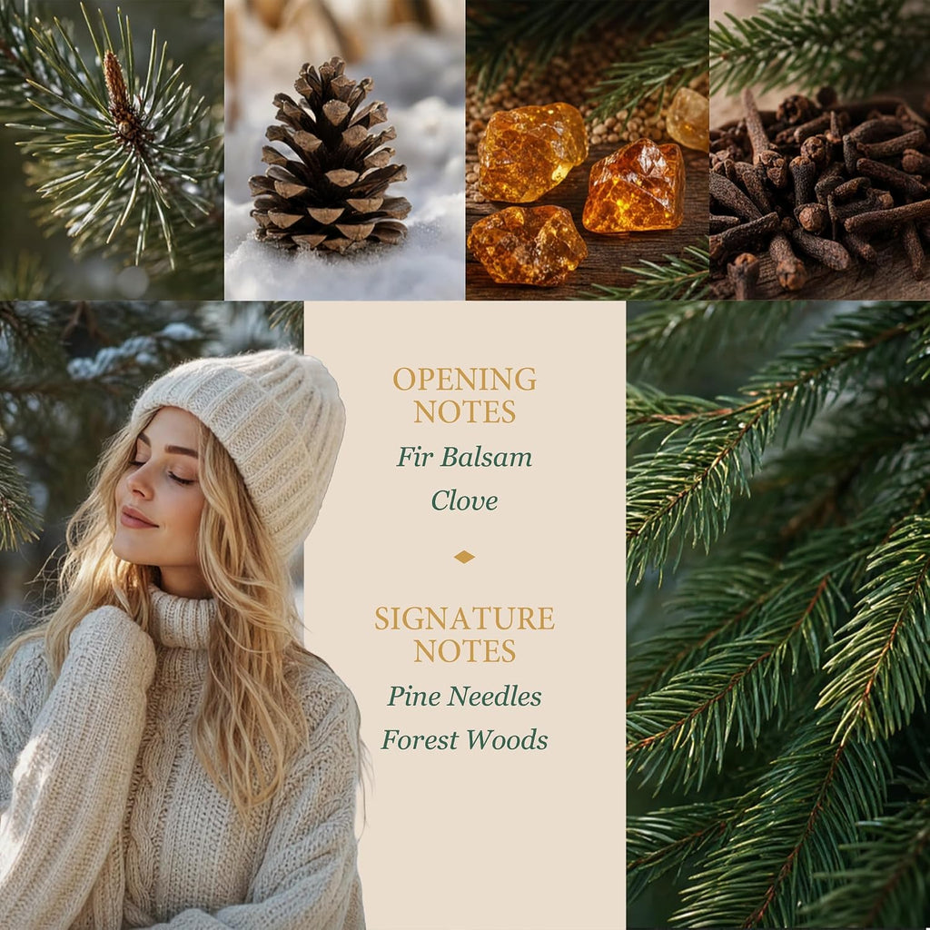 Pine Forest Scented Candle - 100% Natural Soy Wax - Large 3 Wick Jar - Up to 40 Hours Burning Time - Aromatherapy Christmas Candles for Home - Gift-Ready Box for Men and Women