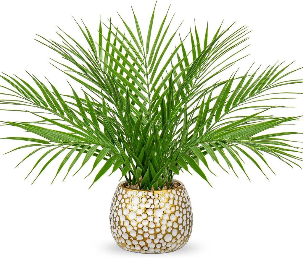 Briful Fake Plants 15'' Faux Palm Plant in Gold-White Pot | Realistic Tropical Artificial Plants Indoor for Home Farmhouse Mini Palm Tree Centerpieces for Tables Outdoors Kitchen Top Decor