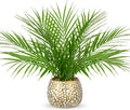 Briful Fake Plants 15'' Faux Palm Plant in Gold-White Pot | Realistic Tropical Artificial Plants Indoor for Home Farmhouse Mini Palm Tree Centerpieces for Tables Outdoors Kitchen Top Decor