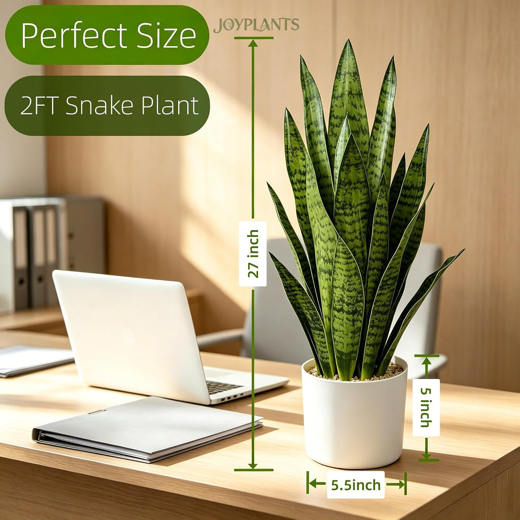 2.3FT Fake Snake Plant 27in Sansevieria Potted Plant in White Pot
