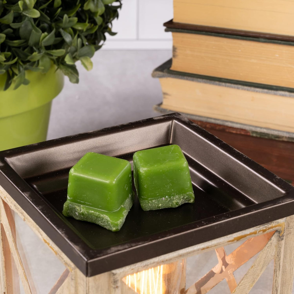 ScentSationals Anchorage - Edison Bulb Wax Warmer for Scented Wax Melts