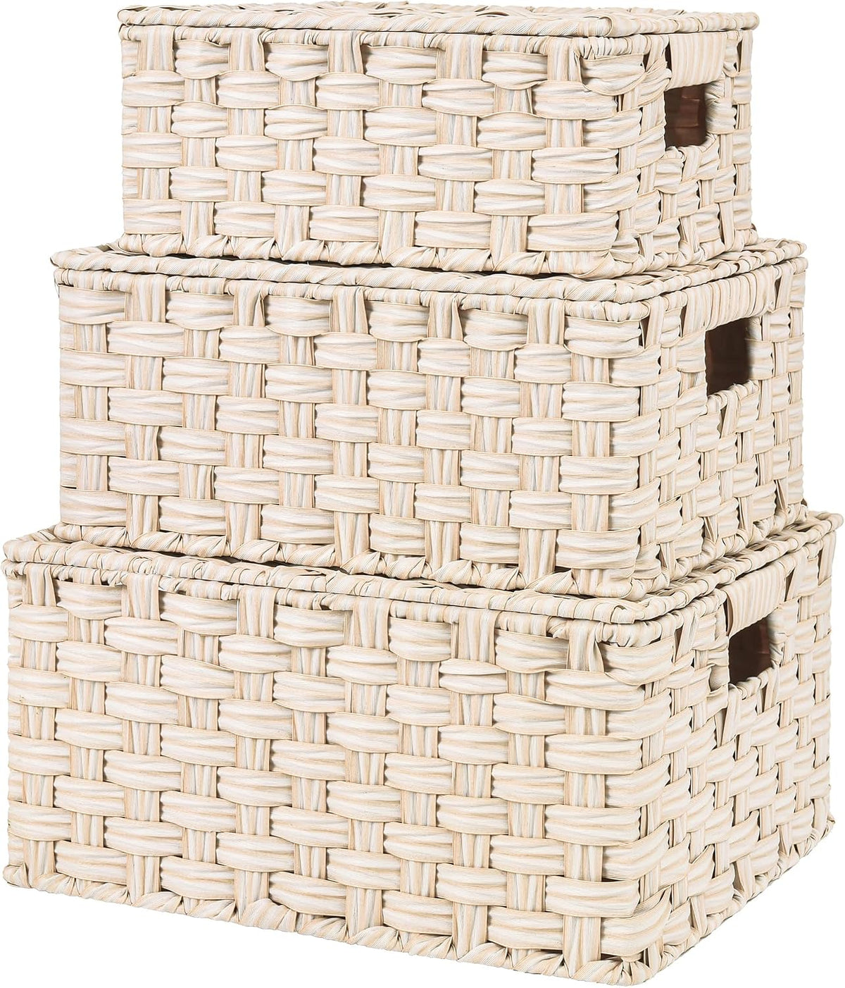 GRANNY SAYS Wicker Baskets with Lids, Woven Storage Basket with Lid
