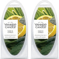Yankee Candle Scented Wax Melts for Wax Warmers, Long Lasting Home Fragrance, Odor Eliminating Wax Cubes, Sage & Citrus, 6 Count (Pack of 2)