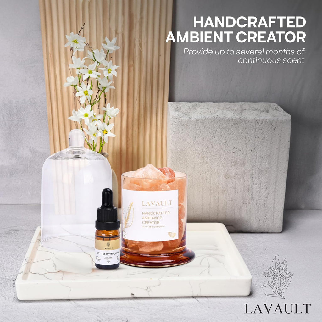 Lavault Reed Diffuser Set for Home, Office, Bedroom & Bathroom - Essential Oil Home Fragrance with Reed Sticks - Ebony Bergamot Scented