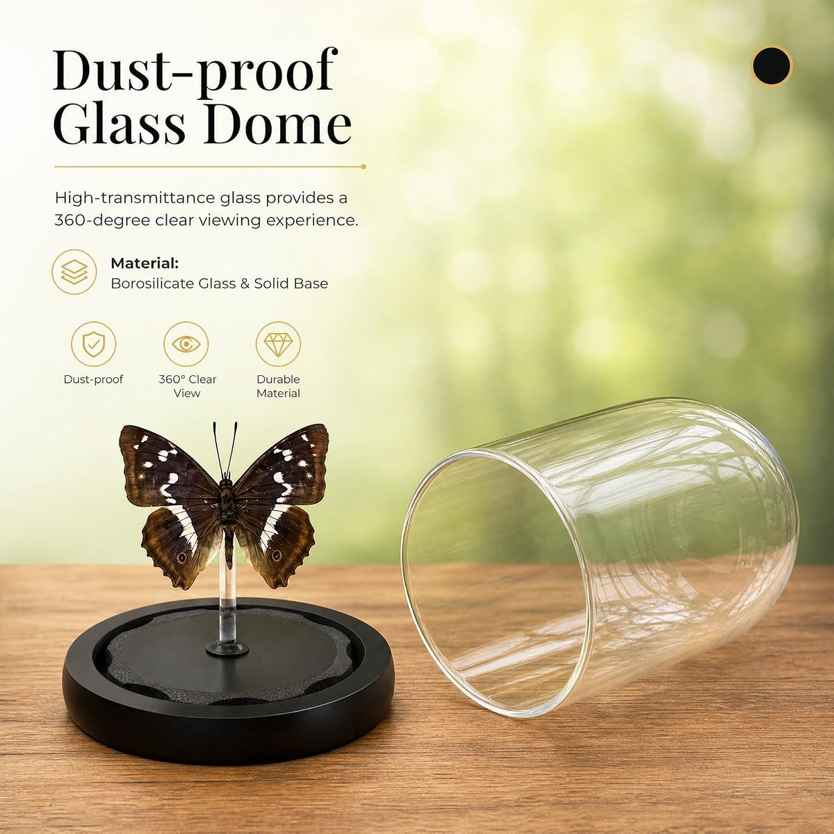 Real Taxidermy Butterfly Specimen Apatura Ilia Shadow Box, Butterfly Gifts for Women Girls with Glass Cover, Butterfly Decor for Bedroom Office Living Room Desk