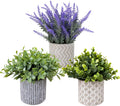 Faux Plants Indoor, Set of 3 Lavender Eucalyptus in Cement Pots