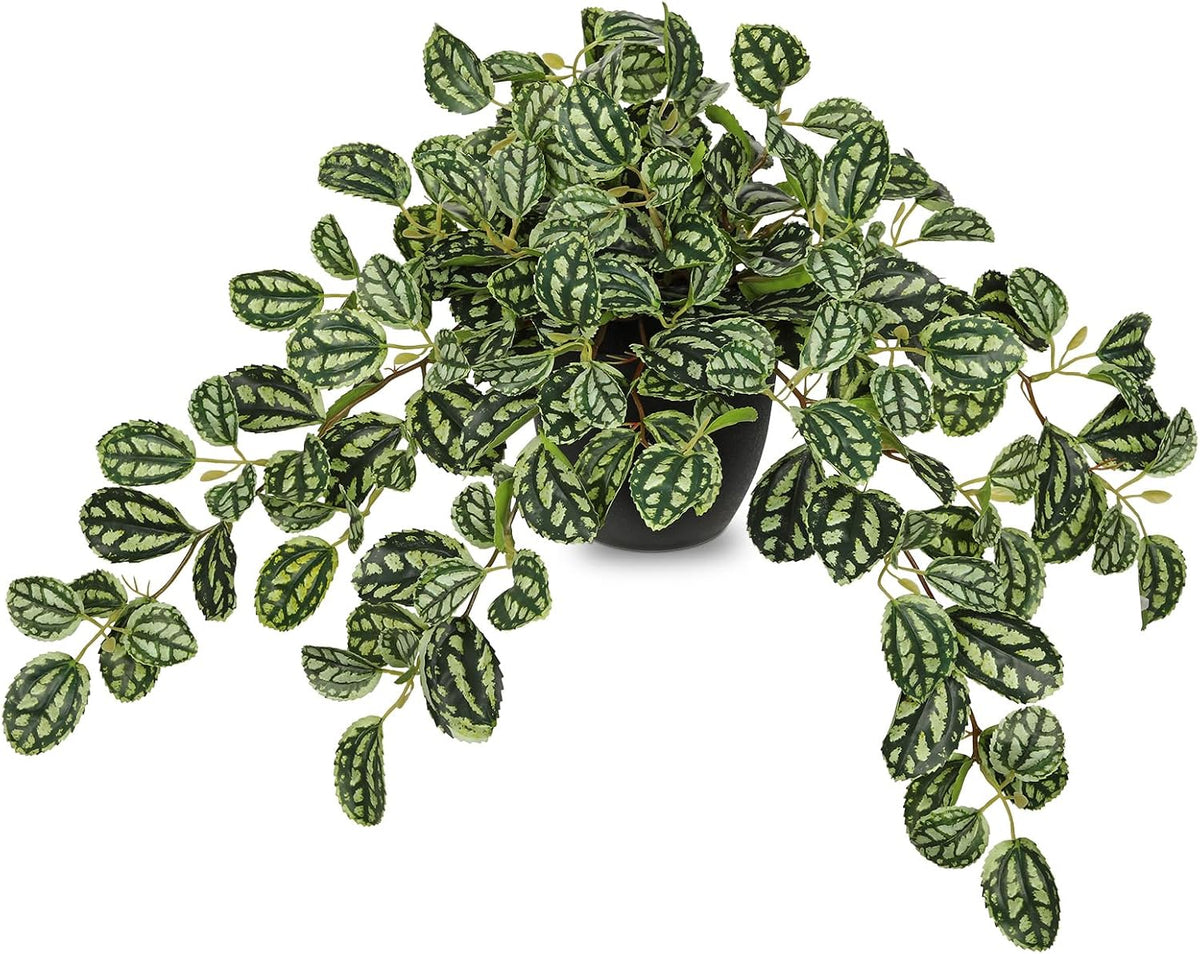 Briful Artificial Potted Plant Indoor, 19.6" Faux Watermelon Peperomia Trailing Plant in Black Pot, Realistic Fake Plants with Cascading Green Leaves for Shelf Bathroom Office Desk Kitchen Home Decor