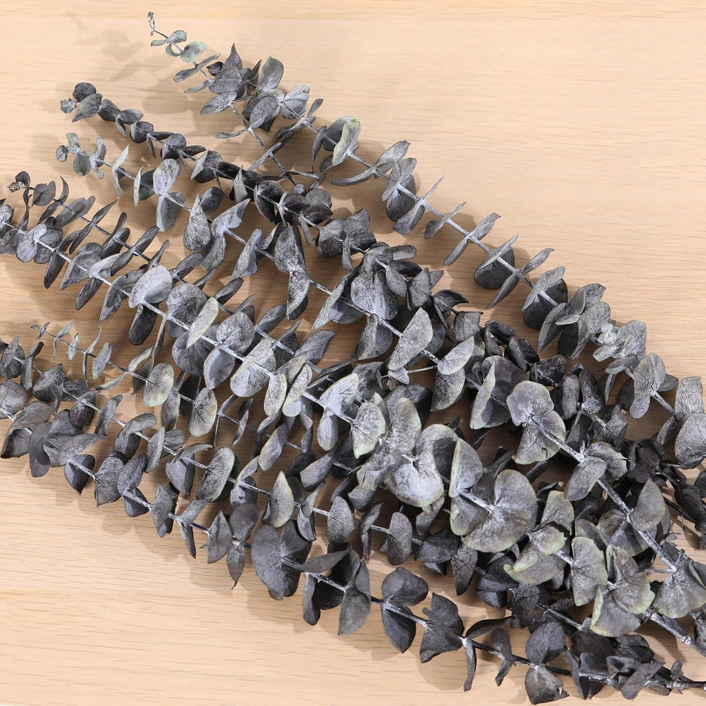16 Pcs Dried Eucalyptus Stems, Preserved Black Plants for Shower Hanging
