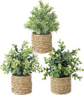 Small Fake Plants, 3 Pack Artificial Potted Plants with Seagrass Pots