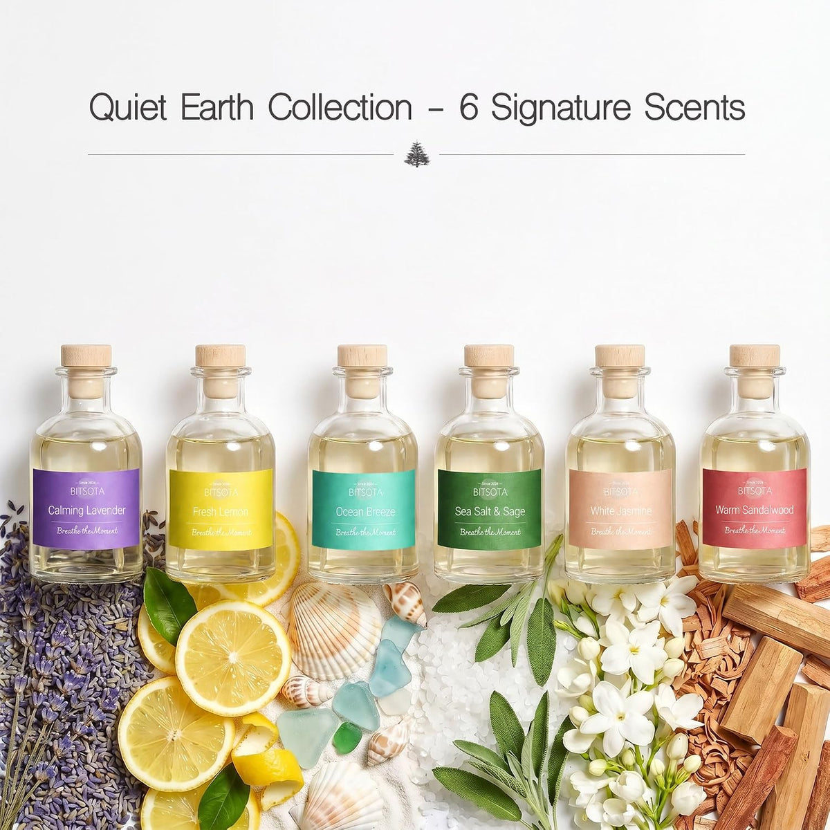 Natural Reed Diffuser Set, Ocean Breeze 3.52 oz (100ml) Scented Diffuser with Sticks Home Fragrance Reed Diffuser for Bathroom Shelf Decor, Ideal Gift for Woman