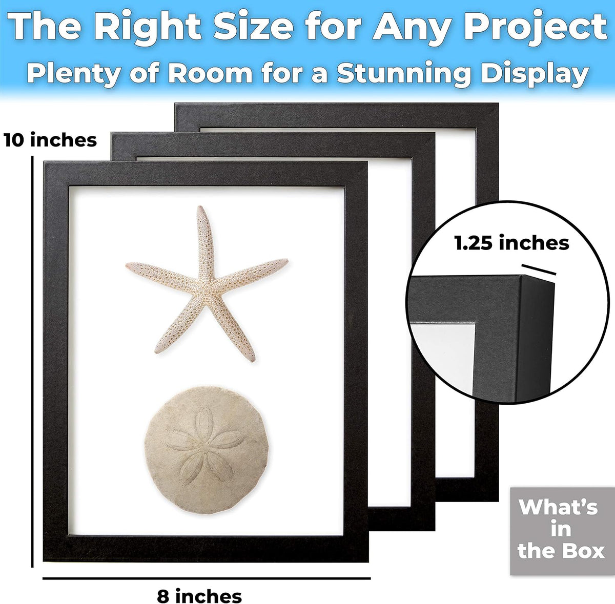 Super-Sturdy, Real Wood 8x10 Shadow Box Frame 3pk. Genuine Hardwood Displays with Real Glass. Best Shadowbox to Showcase Photos, Tickets, Wedding Bouquets, CDs, Medals, Awards, Seashells and Insects.