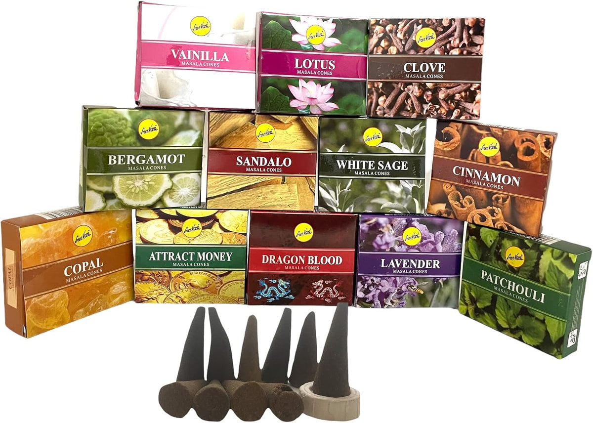 Sreevani Natural Masala Incense Cones and Holder Bundle, 120 Cones Total, Assorted #1