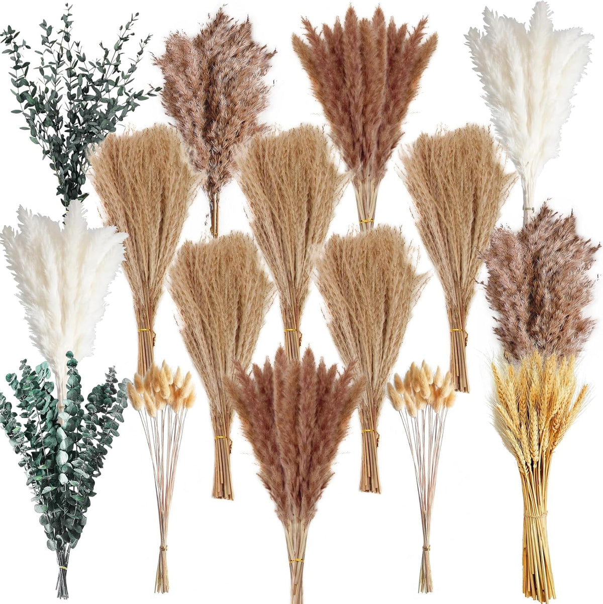 355PCS Dried Pampas Grass Bouquet Set – Dried Eucalyptus, Brown Pampas Grass & White Pampas Grass for Boho Baby Shower Decorations, Boho Wedding Decor, Pampas Grass Wall Decor, Home Decorations Modern
