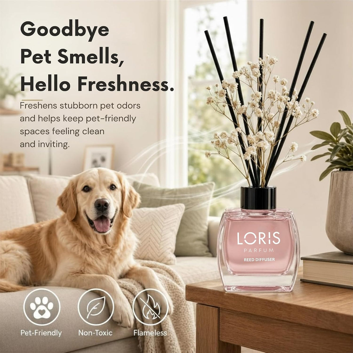 Loris Spring Breeze Reed Diffuser Set with Dried Flowers | Reed Diffusers for Home with Sticks | Bathroom Diffuser & Room Scent | Long-Lasting Home Fragrance | 120 mL / 4.06 fl oz
