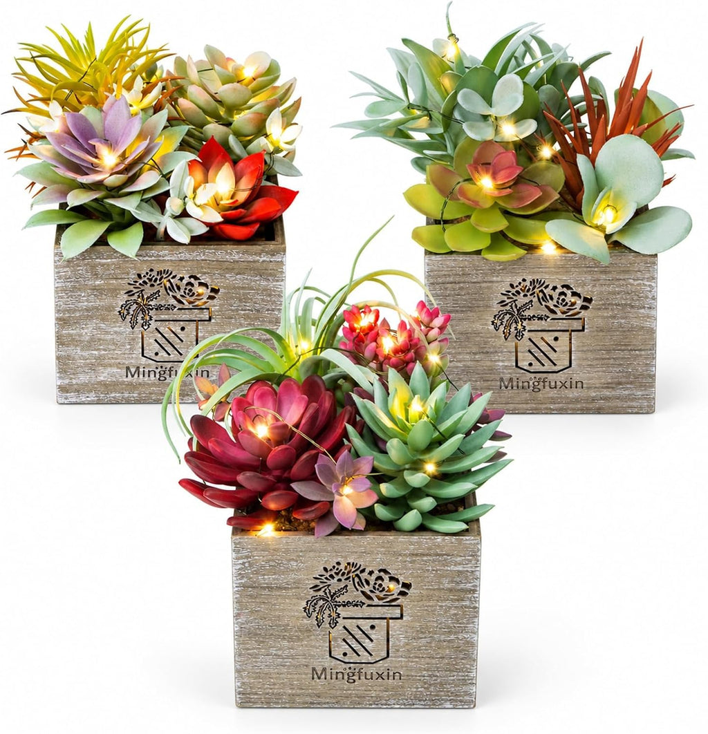 Succulents Plants Artificial with Light for Home Office Decor 3 Pack