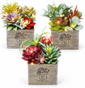 Succulents Plants Artificial with Light for Home Office Decor 3 Pack