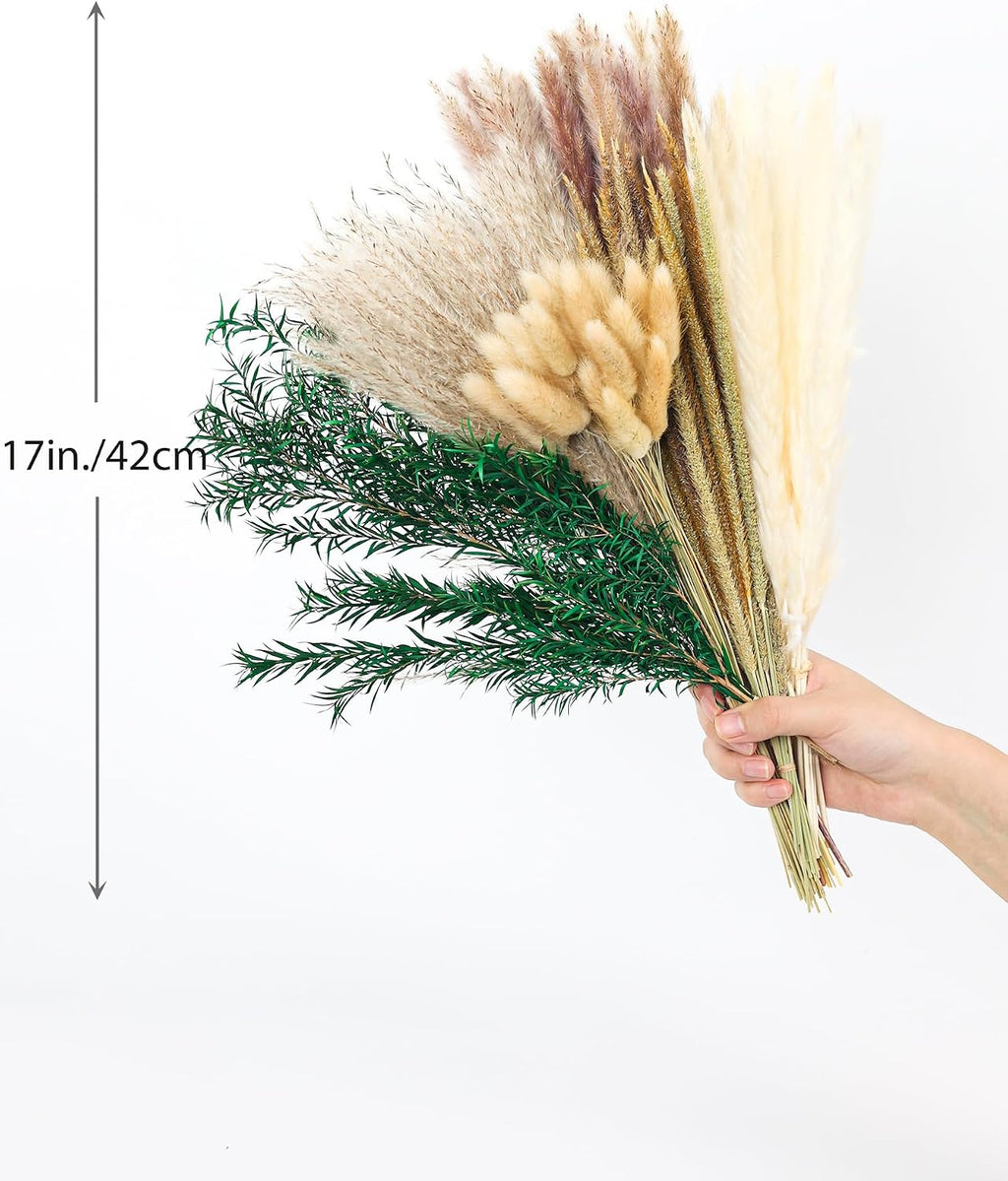 xin's convey 100 PCS Pampas Grass (Vase Not Included), Dried Flowers Bouquets, Wedding Table Decor, Bedroom, Rustic Farm Decor.(Green)