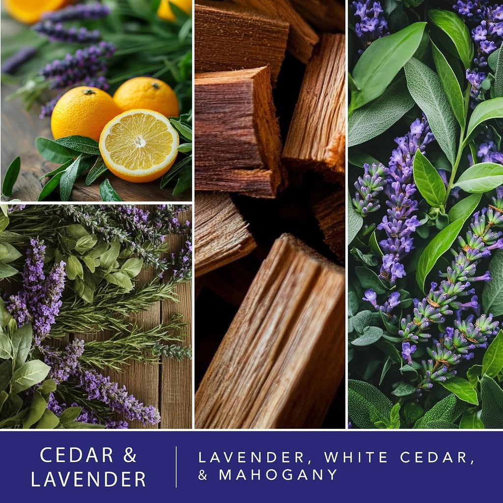 Scentsationals Cedar & Lavender Scented Wax Melts, 15oz (36 Cubes)