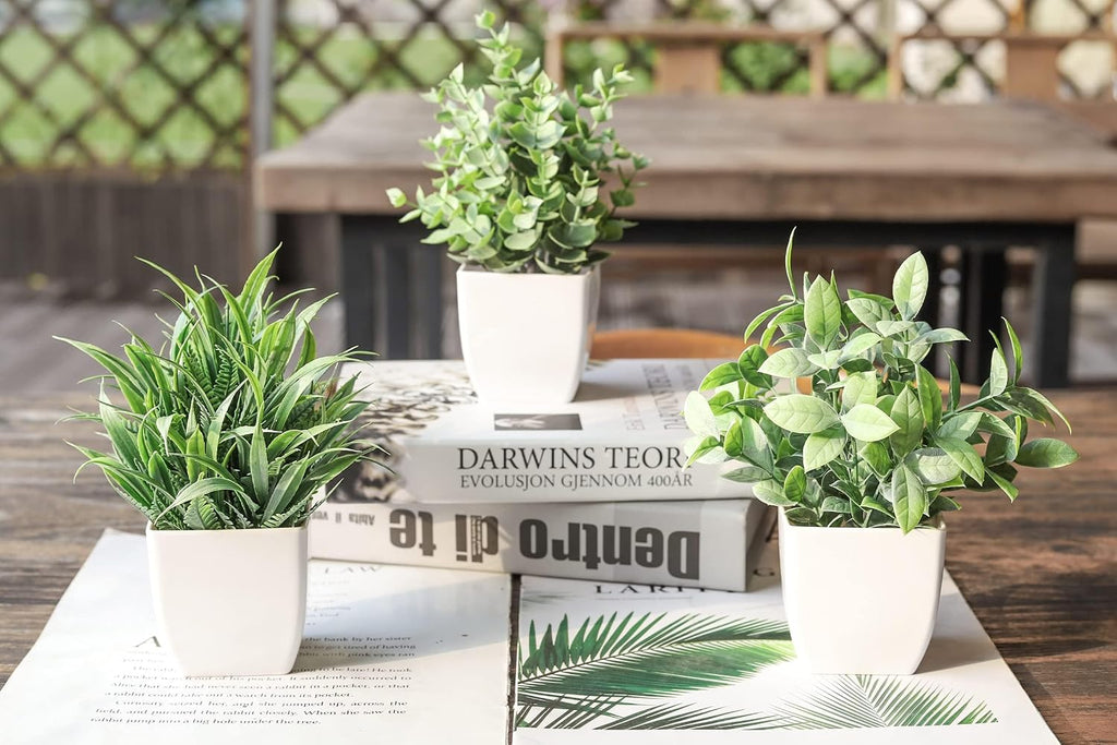 Der Rose 6 Pack Fake Plants Small Artificial Plants for Home Classroom